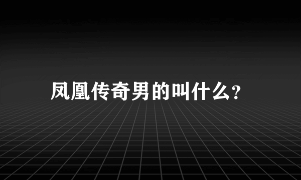 凤凰传奇男的叫什么？