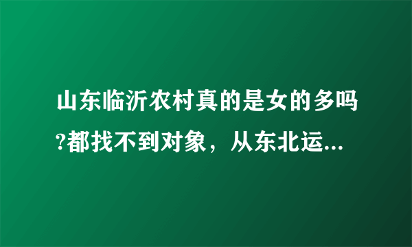 山东临沂农村真的是女的多吗?都找不到对象，从东北运男的过来相亲？还说条件很好，家里都是一个女儿