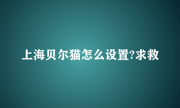 上海贝尔猫怎么设置?求救