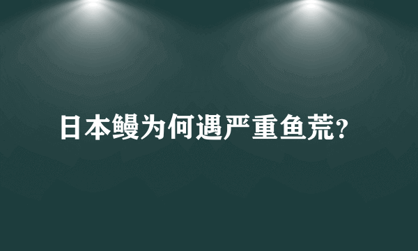 日本鳗为何遇严重鱼荒？