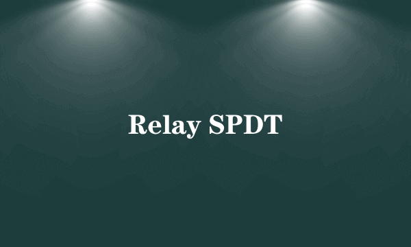 Relay SPDT