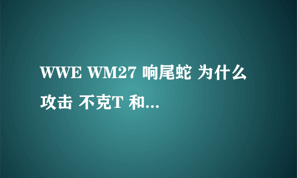 WWE WM27 响尾蛇 为什么 攻击 不克T 和 小播报员？