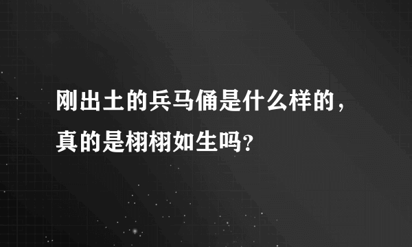 刚出土的兵马俑是什么样的，真的是栩栩如生吗？