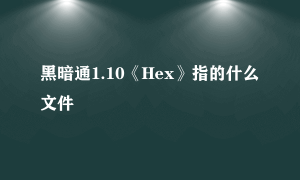 黑暗通1.10《Hex》指的什么文件