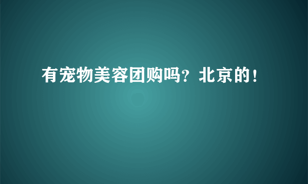 有宠物美容团购吗？北京的！