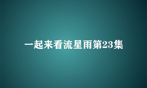 一起来看流星雨第23集