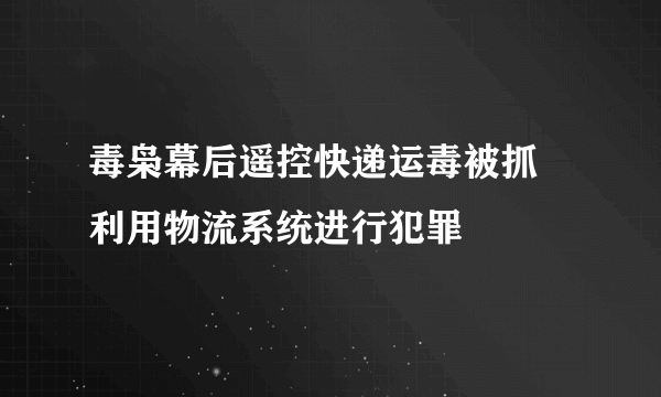 毒枭幕后遥控快递运毒被抓 利用物流系统进行犯罪