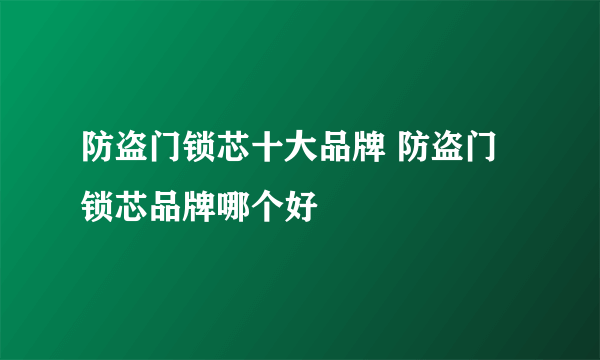 防盗门锁芯十大品牌 防盗门锁芯品牌哪个好