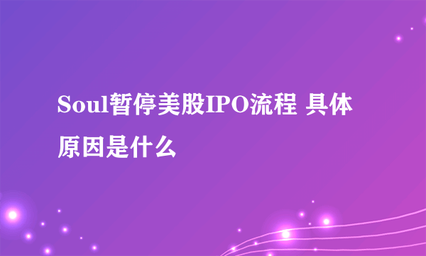 Soul暂停美股IPO流程 具体原因是什么