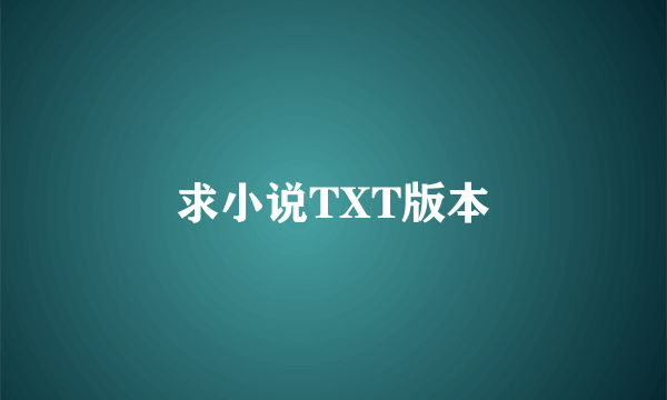 求小说TXT版本