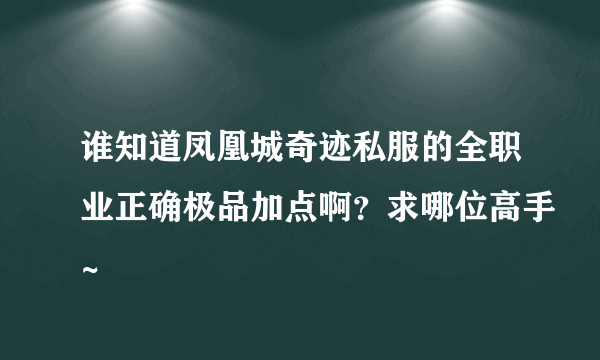 谁知道凤凰城奇迹私服的全职业正确极品加点啊？求哪位高手~