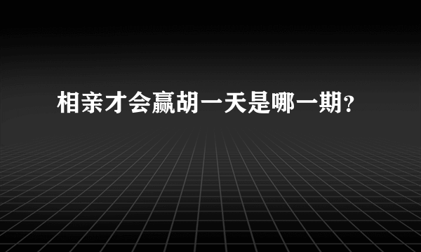 相亲才会赢胡一天是哪一期？