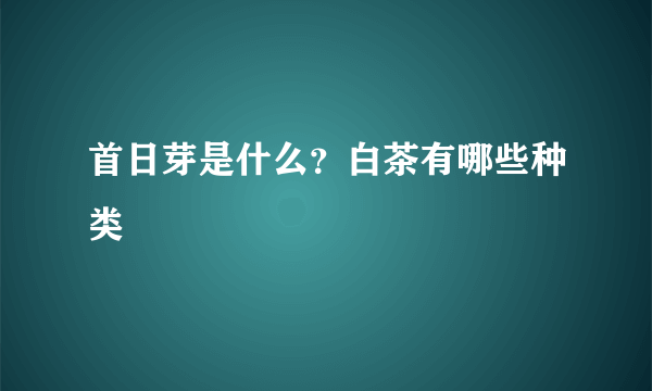 首日芽是什么？白茶有哪些种类