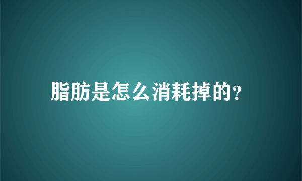 脂肪是怎么消耗掉的？