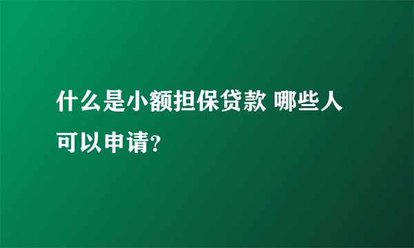 什么是小额担保贷款 哪些人可以申请？