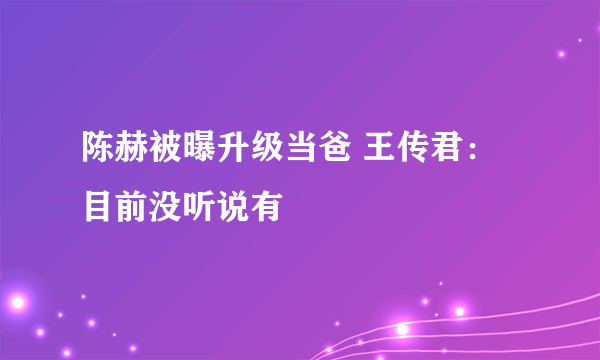 陈赫被曝升级当爸 王传君：目前没听说有