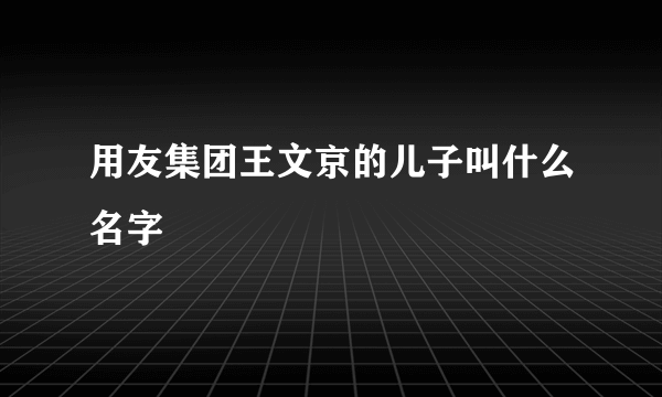 用友集团王文京的儿子叫什么名字