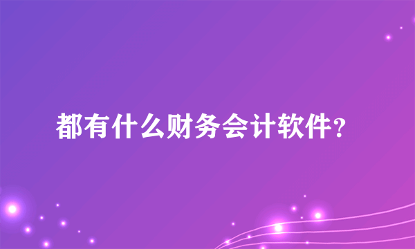 都有什么财务会计软件？