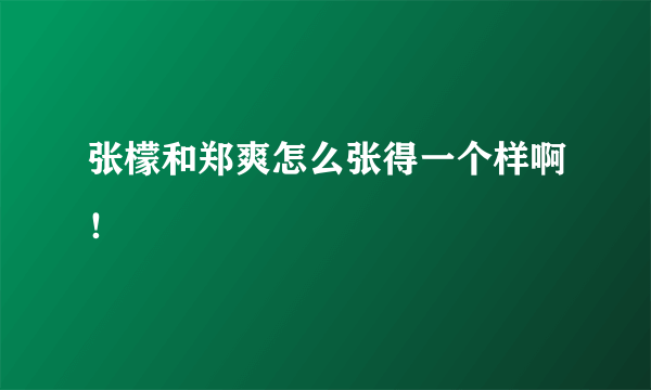 张檬和郑爽怎么张得一个样啊！