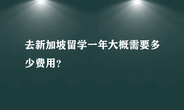 去新加坡留学一年大概需要多少费用？