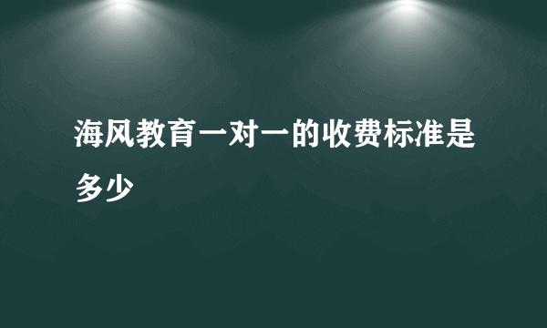 海风教育一对一的收费标准是多少