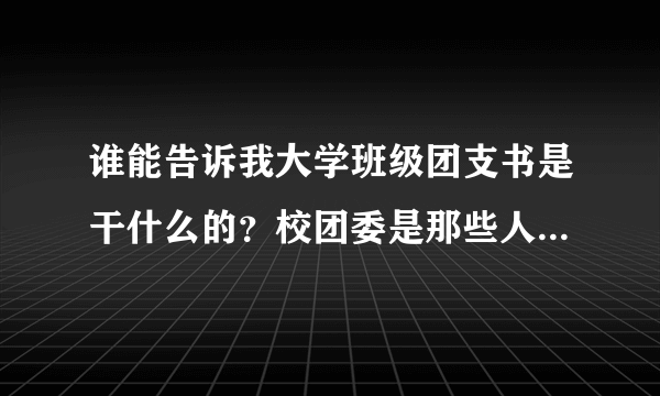 谁能告诉我大学班级团支书是干什么的？校团委是那些人构成的？