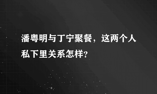 潘粤明与丁宁聚餐，这两个人私下里关系怎样？