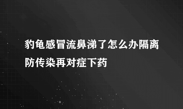 豹龟感冒流鼻涕了怎么办隔离防传染再对症下药