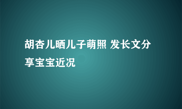 胡杏儿晒儿子萌照 发长文分享宝宝近况