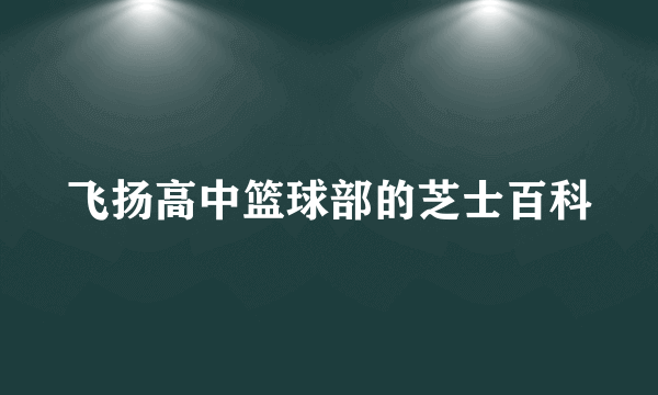 飞扬高中篮球部的芝士百科