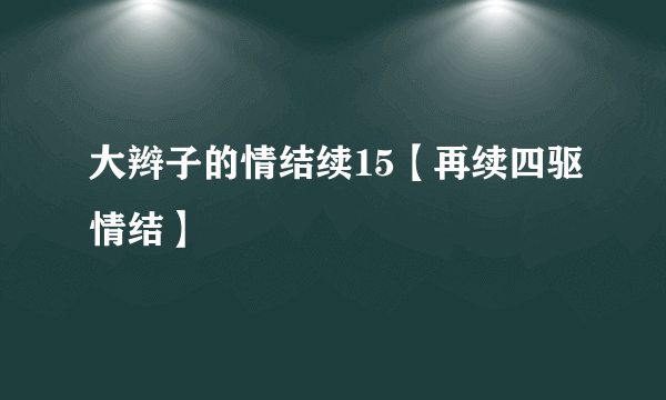 大辫子的情结续15【再续四驱情结】