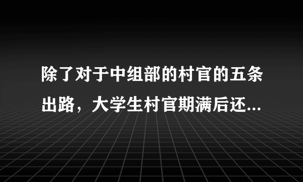 除了对于中组部的村官的五条出路，大学生村官期满后还有什么出路？