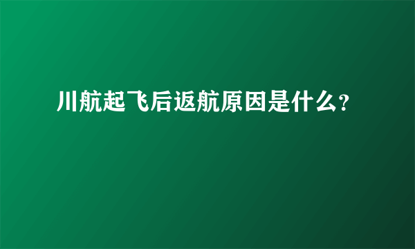 川航起飞后返航原因是什么？