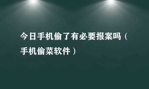 今日手机偷了有必要报案吗（手机偷菜软件）