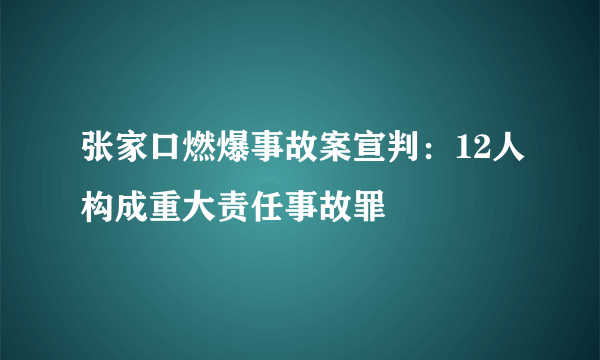 张家口燃爆事故案宣判：12人构成重大责任事故罪