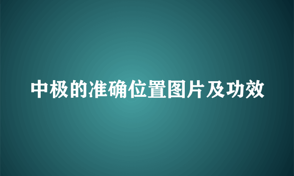 中极的准确位置图片及功效