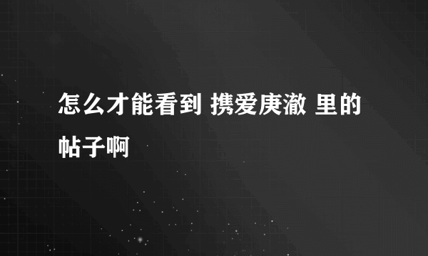 怎么才能看到 携爱庚澈 里的帖子啊