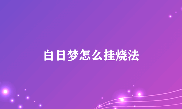 白日梦怎么挂烧法