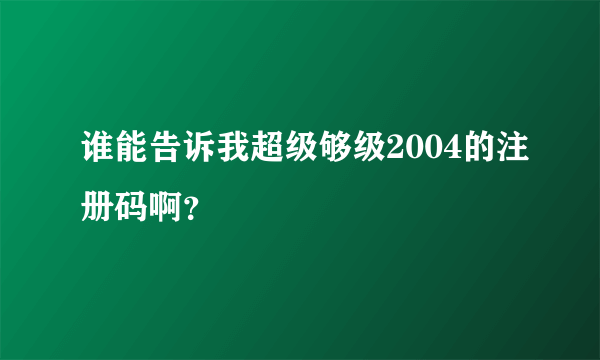 谁能告诉我超级够级2004的注册码啊？