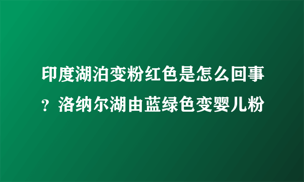 印度湖泊变粉红色是怎么回事？洛纳尔湖由蓝绿色变婴儿粉