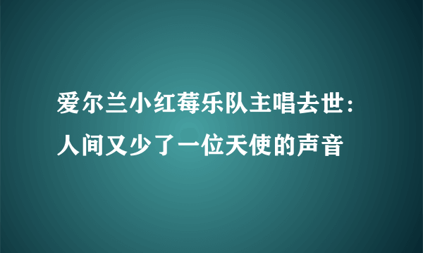 爱尔兰小红莓乐队主唱去世：人间又少了一位天使的声音