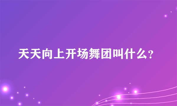 天天向上开场舞团叫什么？