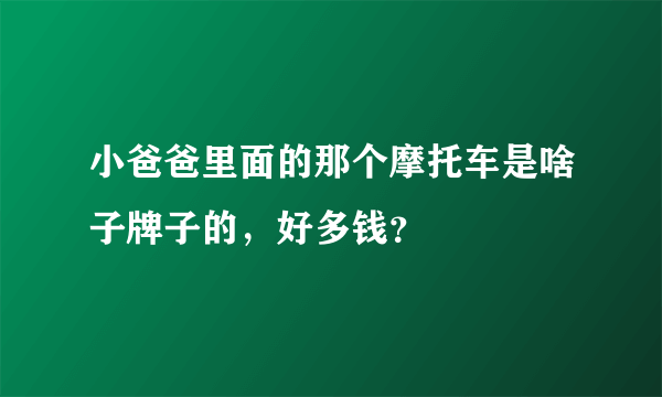 小爸爸里面的那个摩托车是啥子牌子的，好多钱？