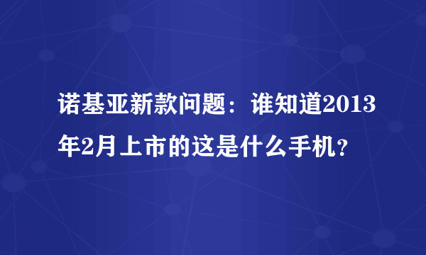 诺基亚新款问题：谁知道2013年2月上市的这是什么手机？