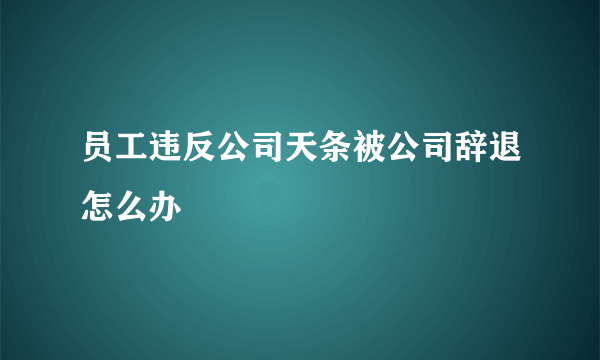 员工违反公司天条被公司辞退怎么办