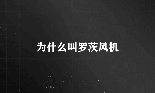 为什么叫罗茨风机