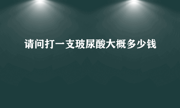 请问打一支玻尿酸大概多少钱