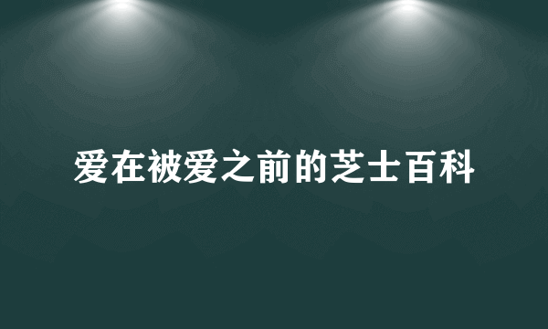 爱在被爱之前的芝士百科