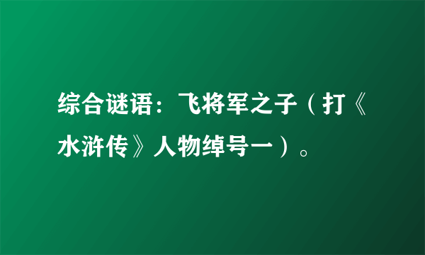 综合谜语：飞将军之子（打《水浒传》人物绰号一）。