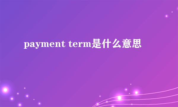 payment term是什么意思